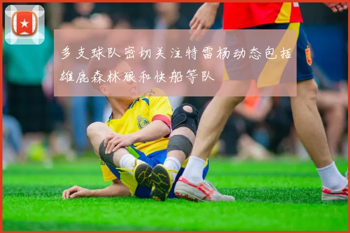 多支球队密切关注特雷杨动态包括雄鹿森林狼和快船等队