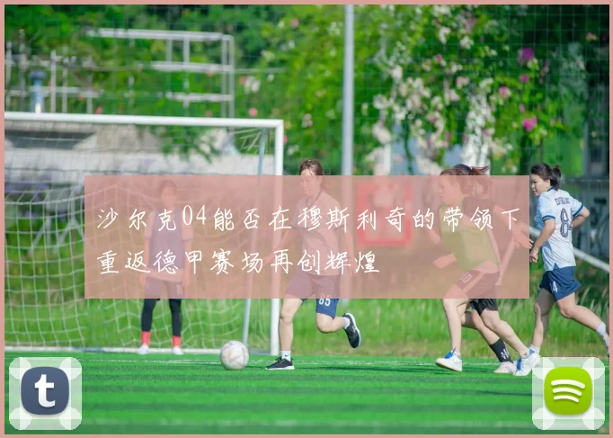 沙尔克04能否在穆斯利奇的带领下重返德甲赛场再创辉煌