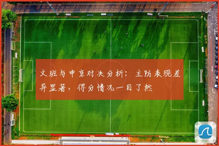 文班与申京对决分析：主防表现差异显著，得分情况一目了然